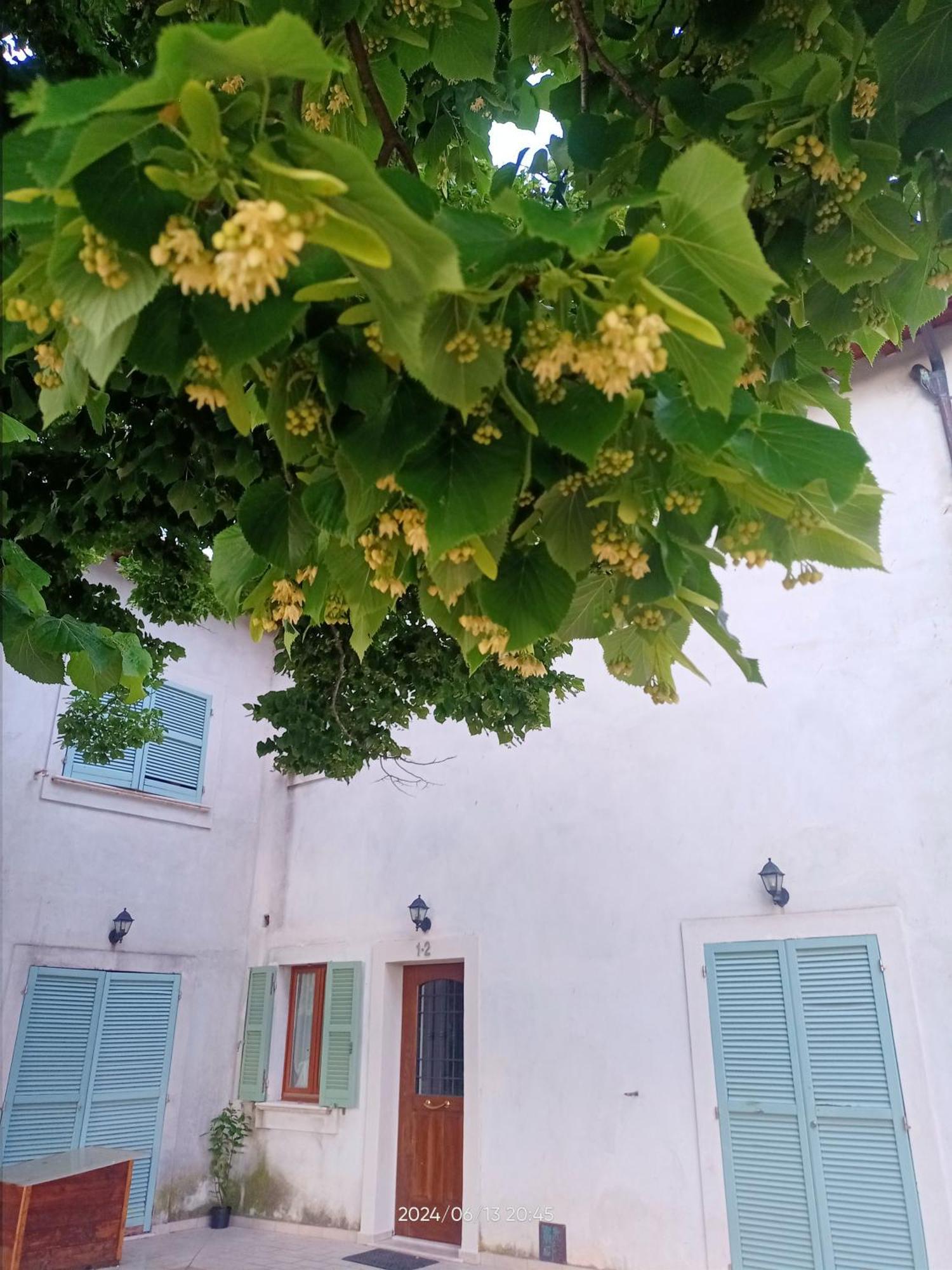 Agriturismo San Martino Foligno Eksteriør billede