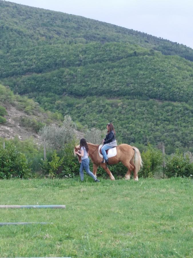 Agriturismo San Martino Foligno Eksteriør billede