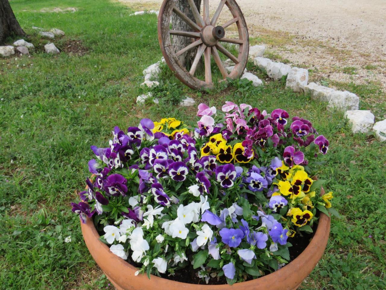 Agriturismo San Martino Foligno Eksteriør billede