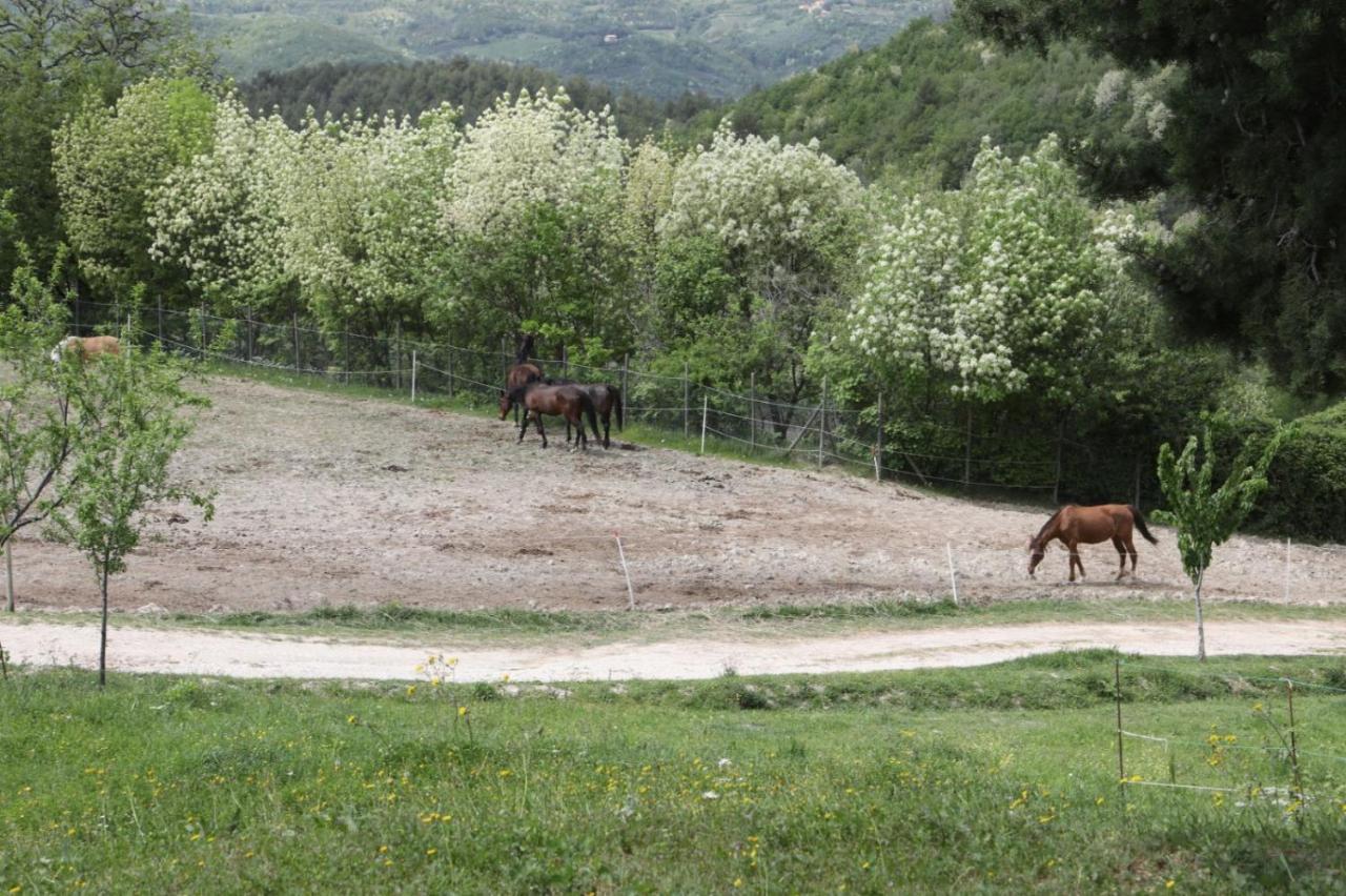Agriturismo San Martino Foligno Eksteriør billede