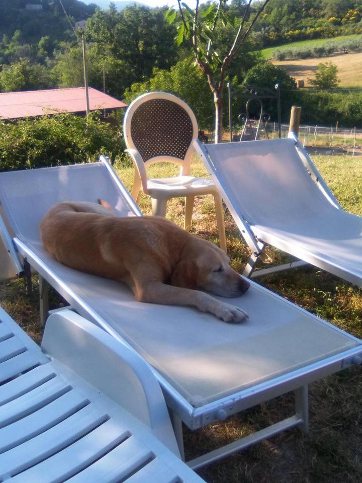 Agriturismo San Martino Foligno Eksteriør billede