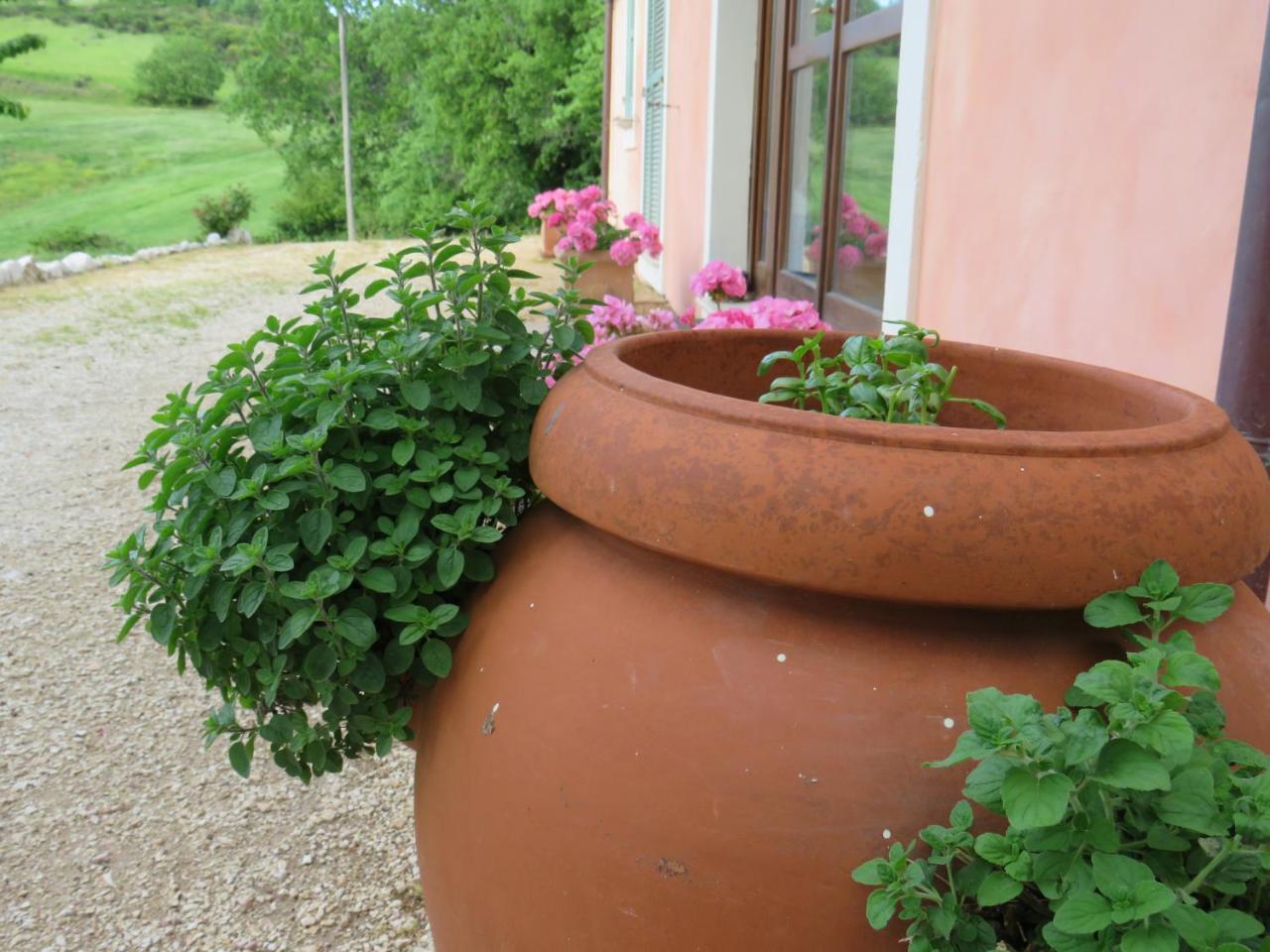 Agriturismo San Martino Foligno Eksteriør billede